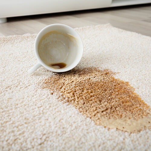 Coffee Spilling From Cup On Carpet | Redd Flooring & Design Center