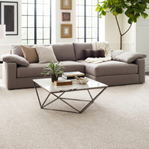 Living room carpet | Redd Flooring & Design Center
