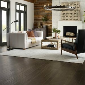 Living room flooring | Redd Flooring & Design Center