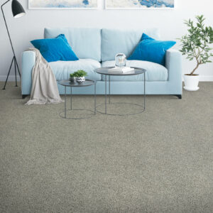 Living room carpet flooring | Redd Flooring & Design Center