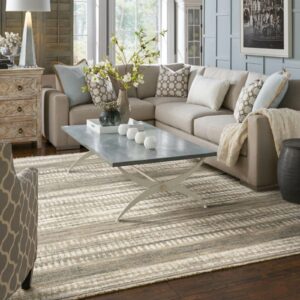 Living room rug | Redd Flooring & Design Center