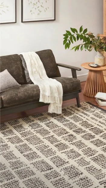 Area Rugs | Redd Flooring & Design Center