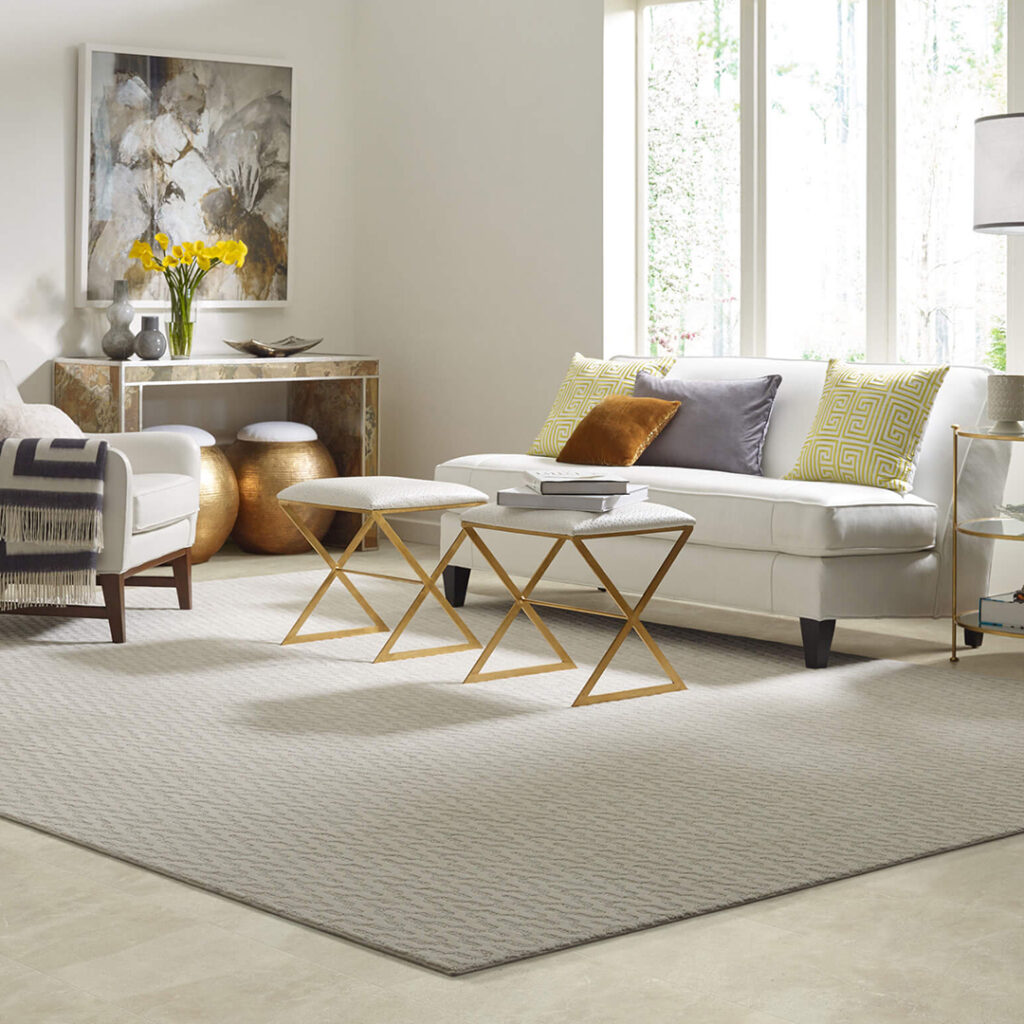 Living Room Area Rug | Redd Flooring & Design Center