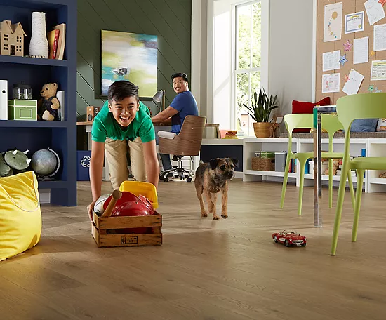 Safeguarding Floors from Pets | Redd Flooring & Design Center
